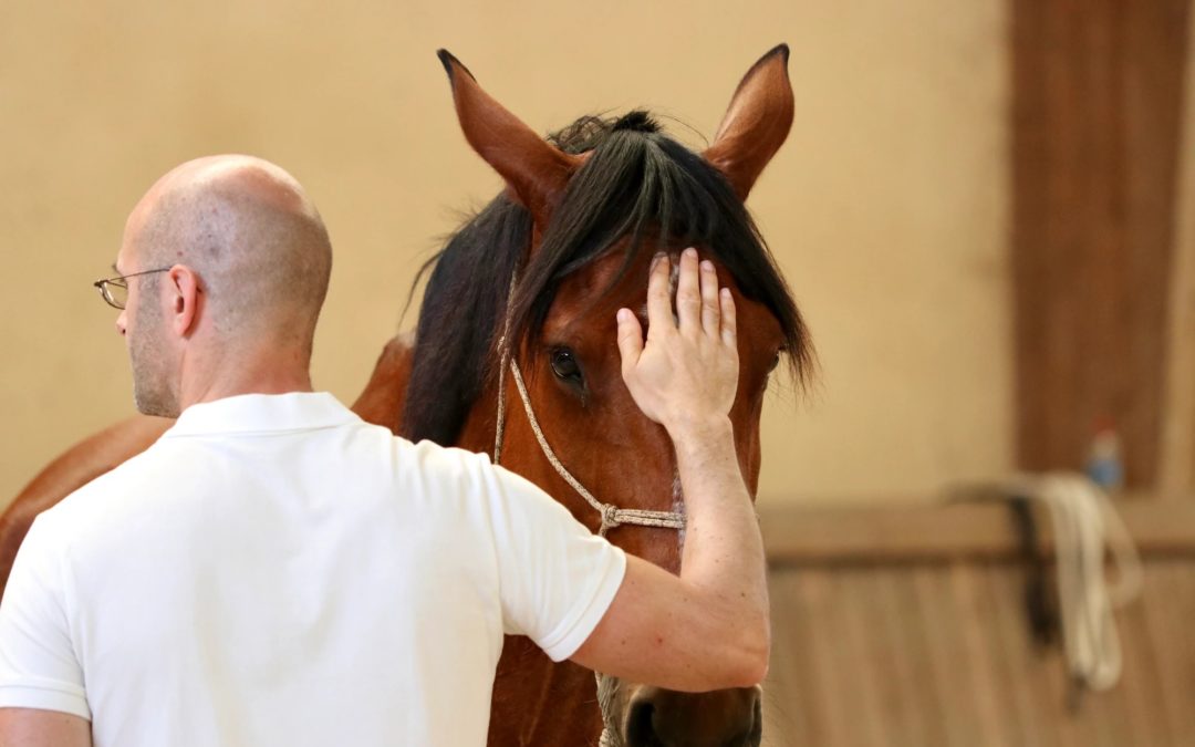 Equicoaching Paris