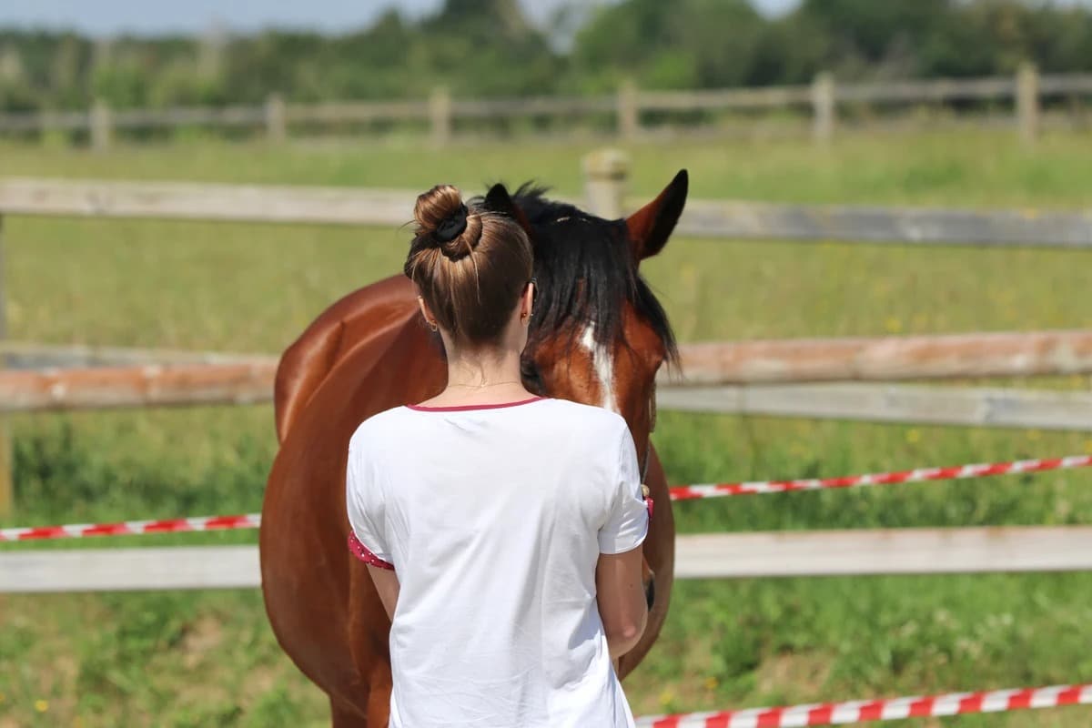 imgi_6_221340_693829