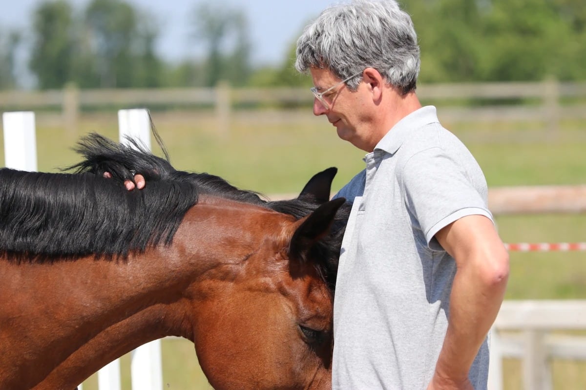 imgi_8_601165_675806