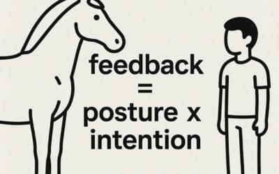 Équicoaching : comment les chevaux révèlent ce que vos équipes ressentent vraiment
