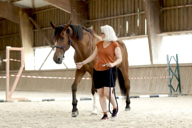 Une participante conduit un cheval en main dans un manège, lors d'un atelier