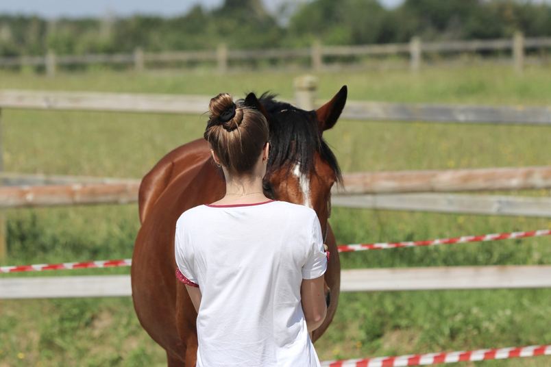 Une participante de dos, front contre l'encolure d'un cheval, en accompagnement individuel