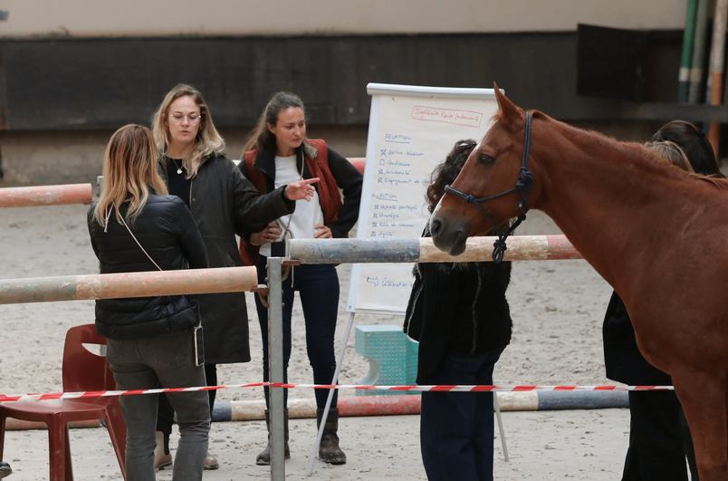 Un groupe en formation devant un paperboard, un cheval à leurs côtés
