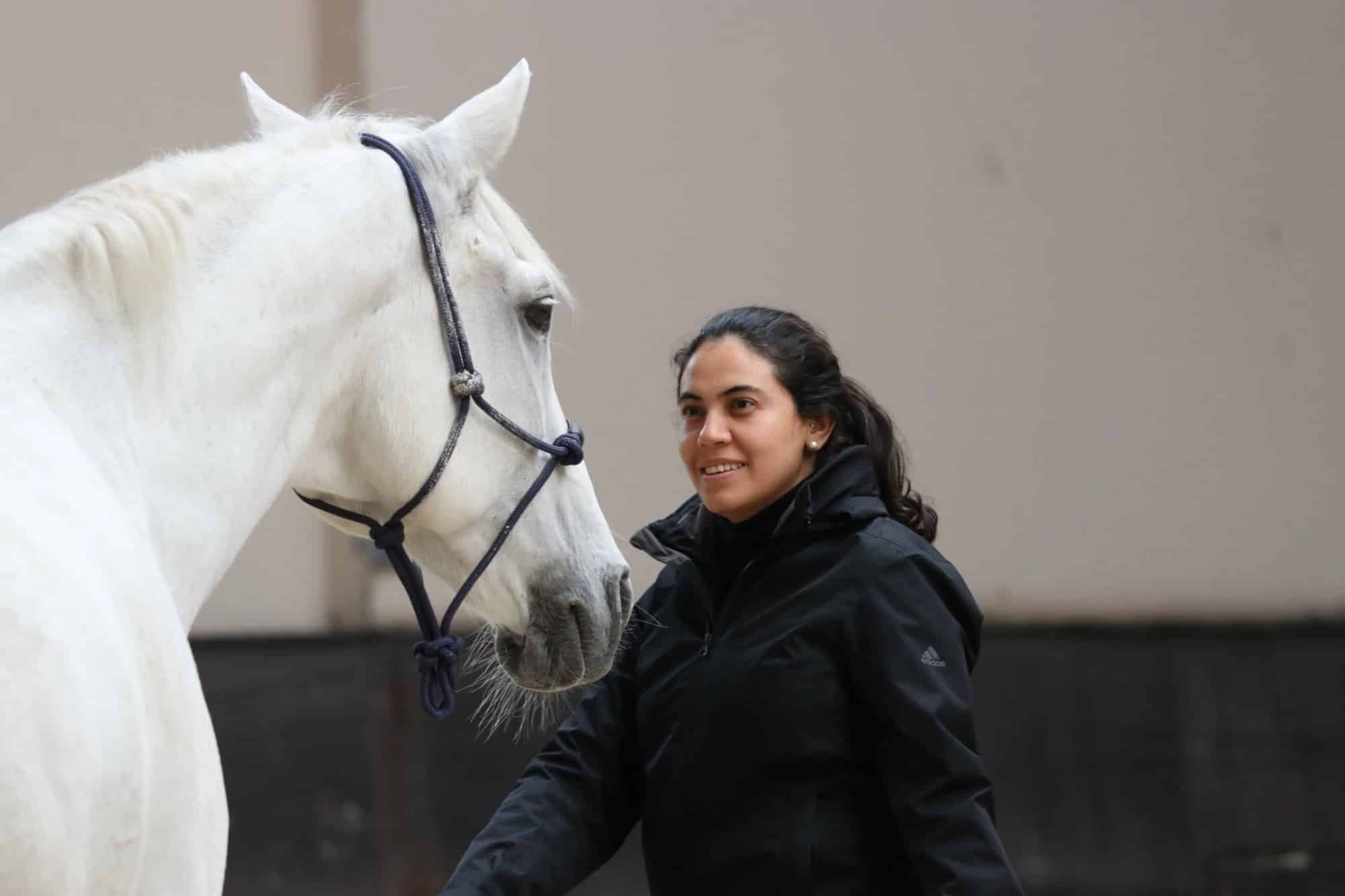 Une participante face à un cheval blanc lors d'une séance d'équicoaching