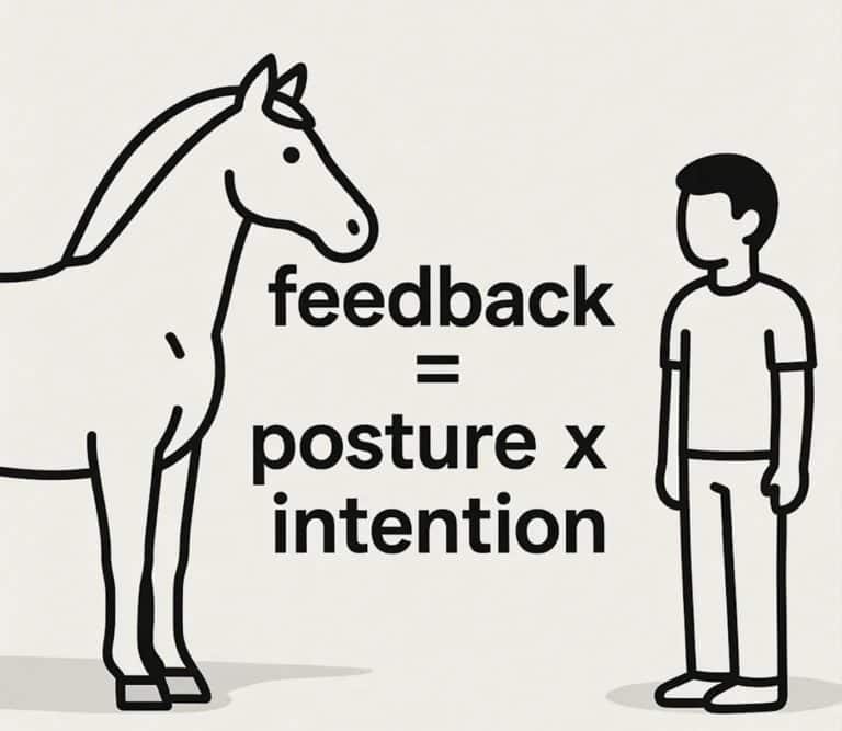 Schéma : feedback égale posture multipliée par intention