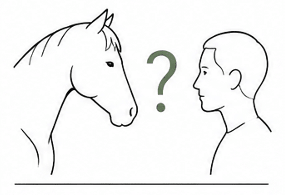 Un cheval et un homme face à face, séparés par un point d'interrogation