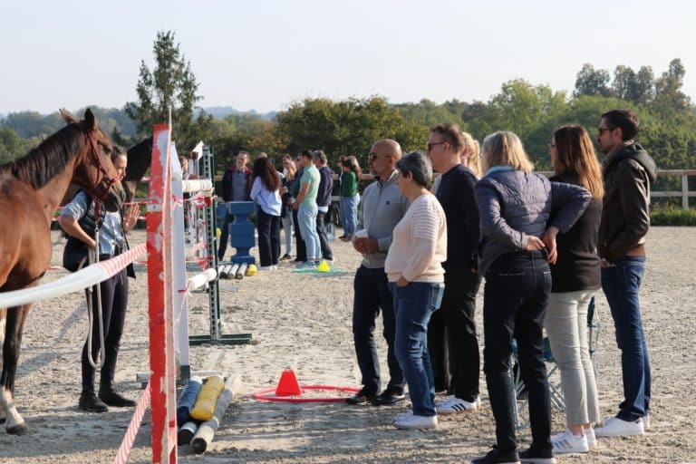Un groupe de participants en extérieur autour d'un cheval