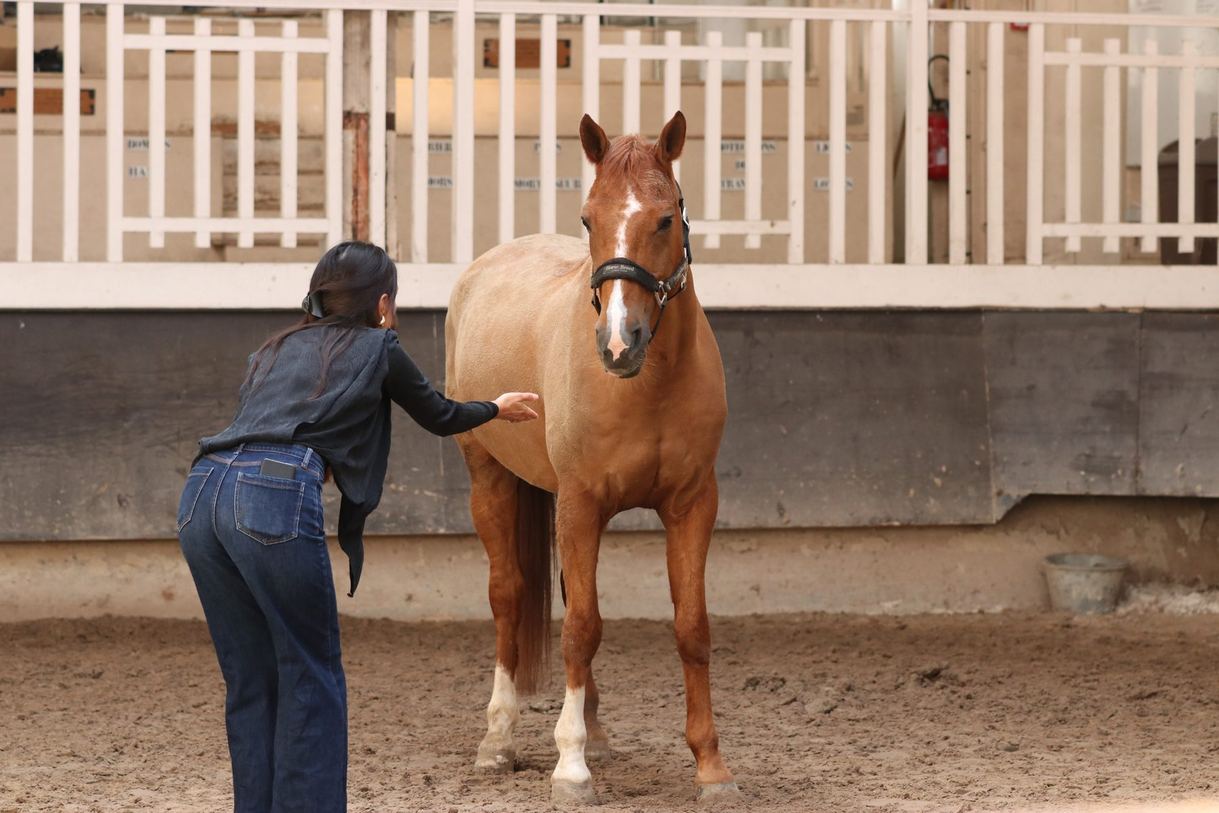 Une participante pose la main sur le dos d'un cheval alezan en liberté
