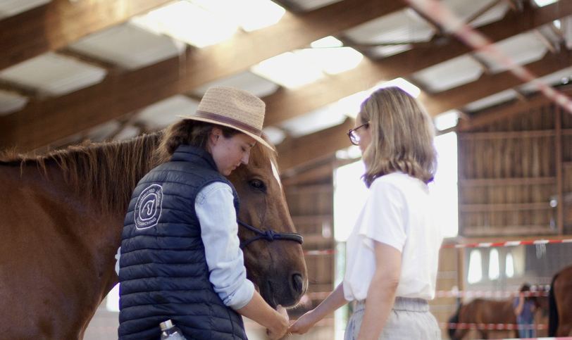 Deux participantes se donnent la main de part et d'autre d'un cheval, sous un manège couvert