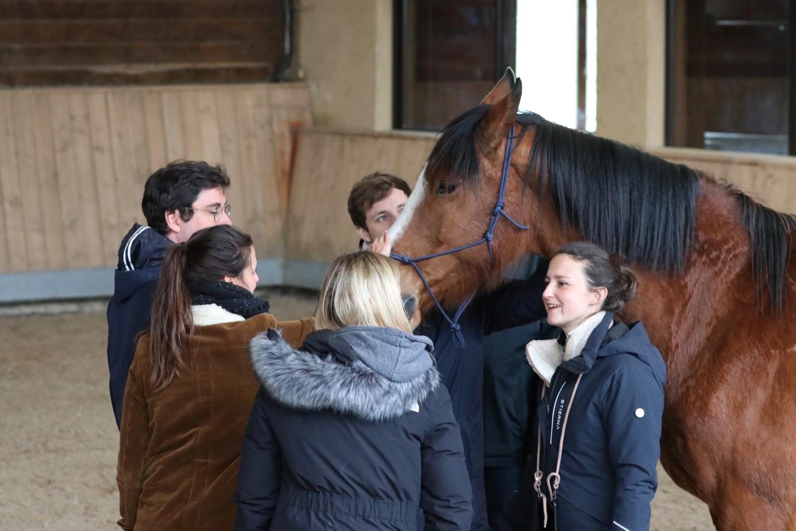 Un groupe de participants rassemblés autour d'un cheval bai dans un manège
