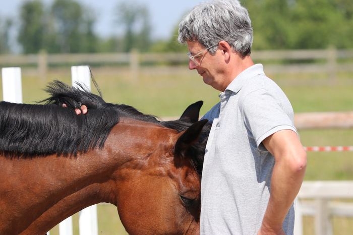 Un participant et un cheval bai tête contre tête, moment de complicité