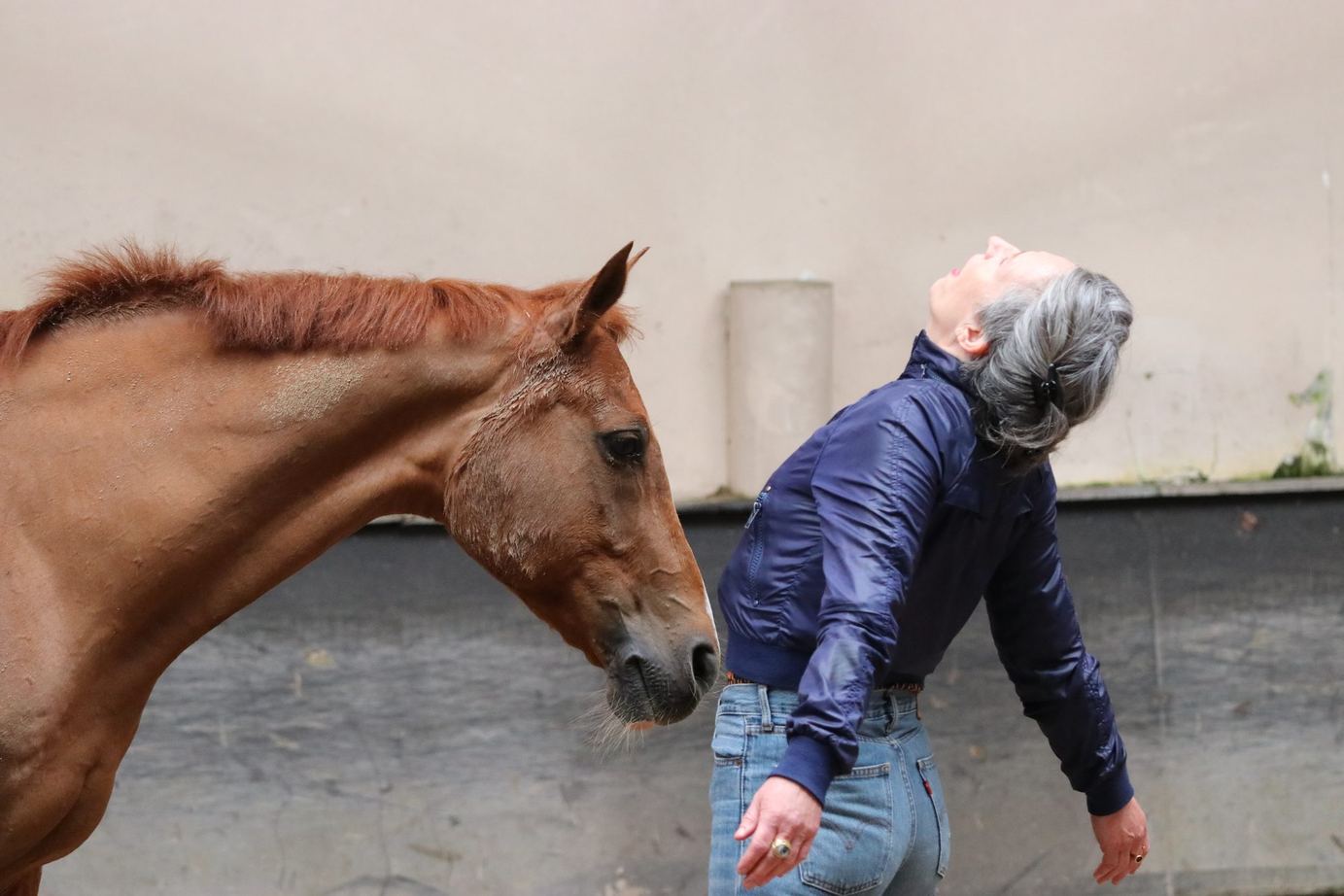 Une participante face à un cheval alezan lors d'un atelier d'équicoaching