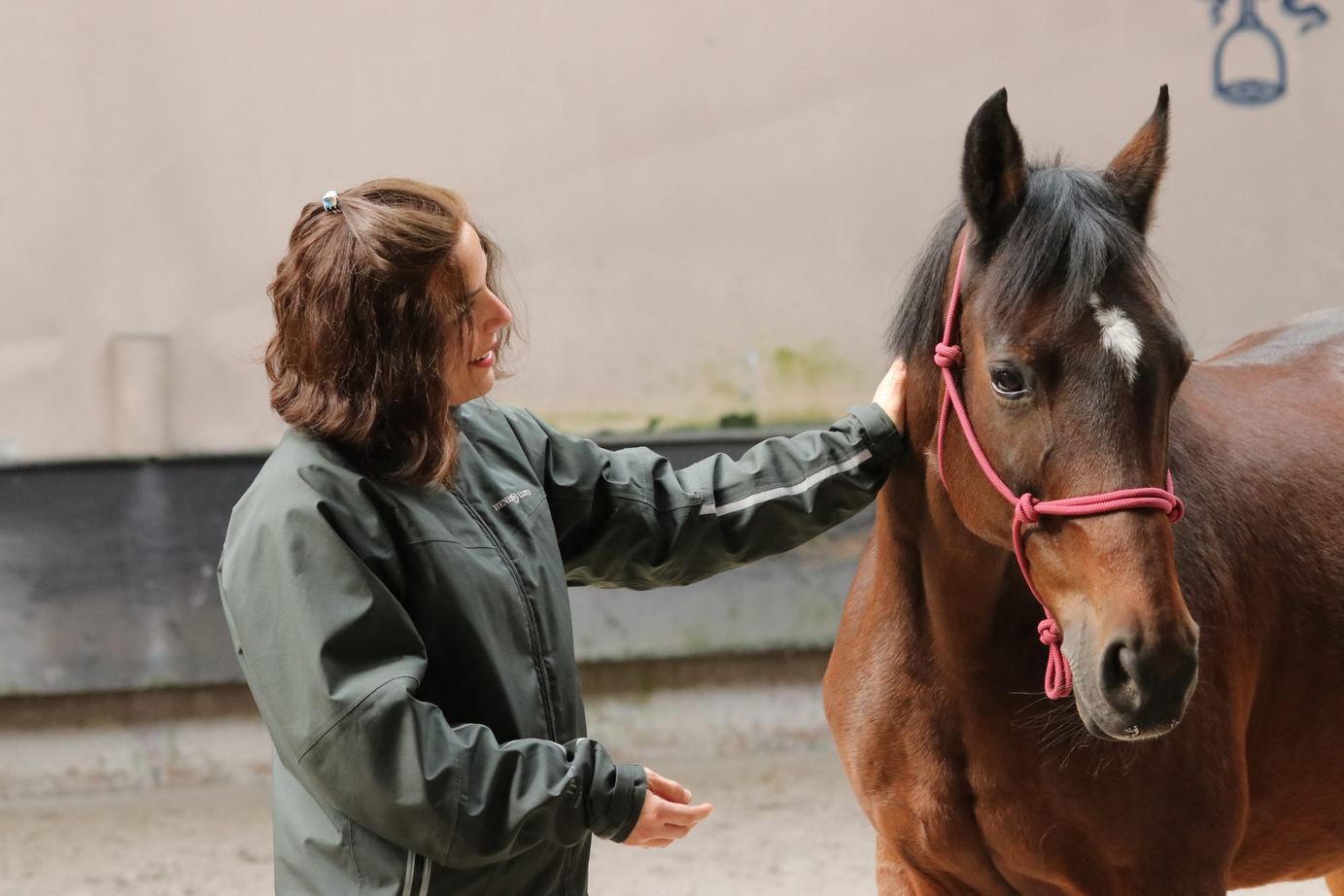Une participante tend la main vers un cheval bai tenu en longe, en coaching individuel