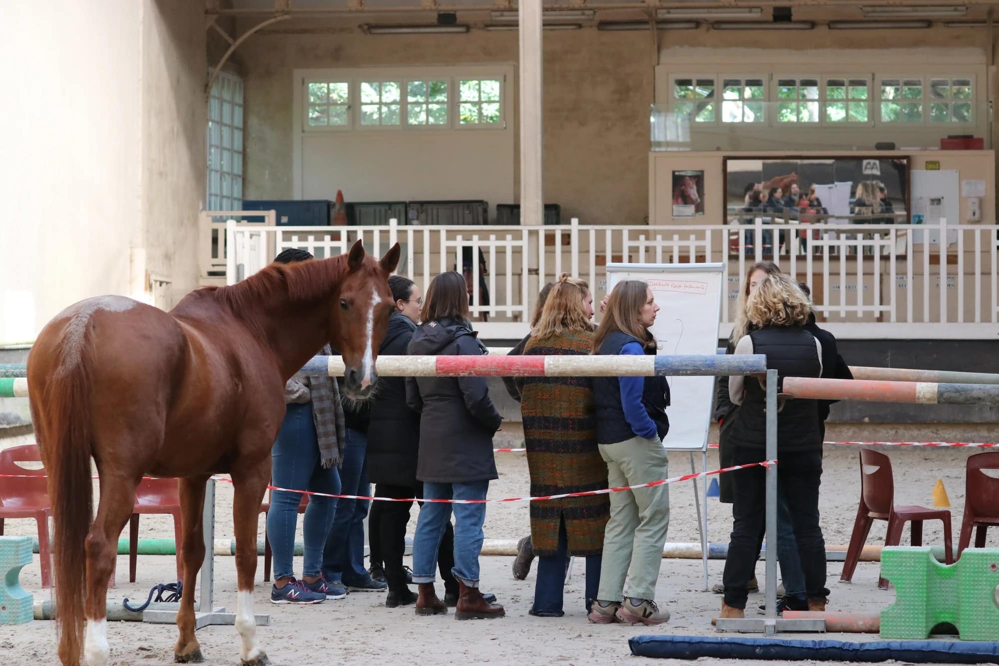 Un groupe de managers en séminaire autour d'un cheval