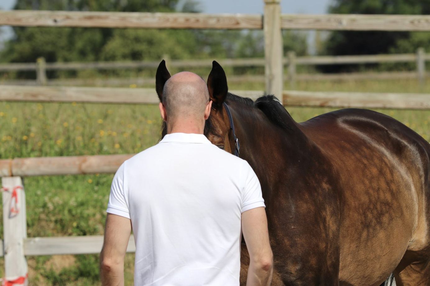 Un dirigeant de dos aux côtés d'un cheval bai, le long de la clôture d'un paddock